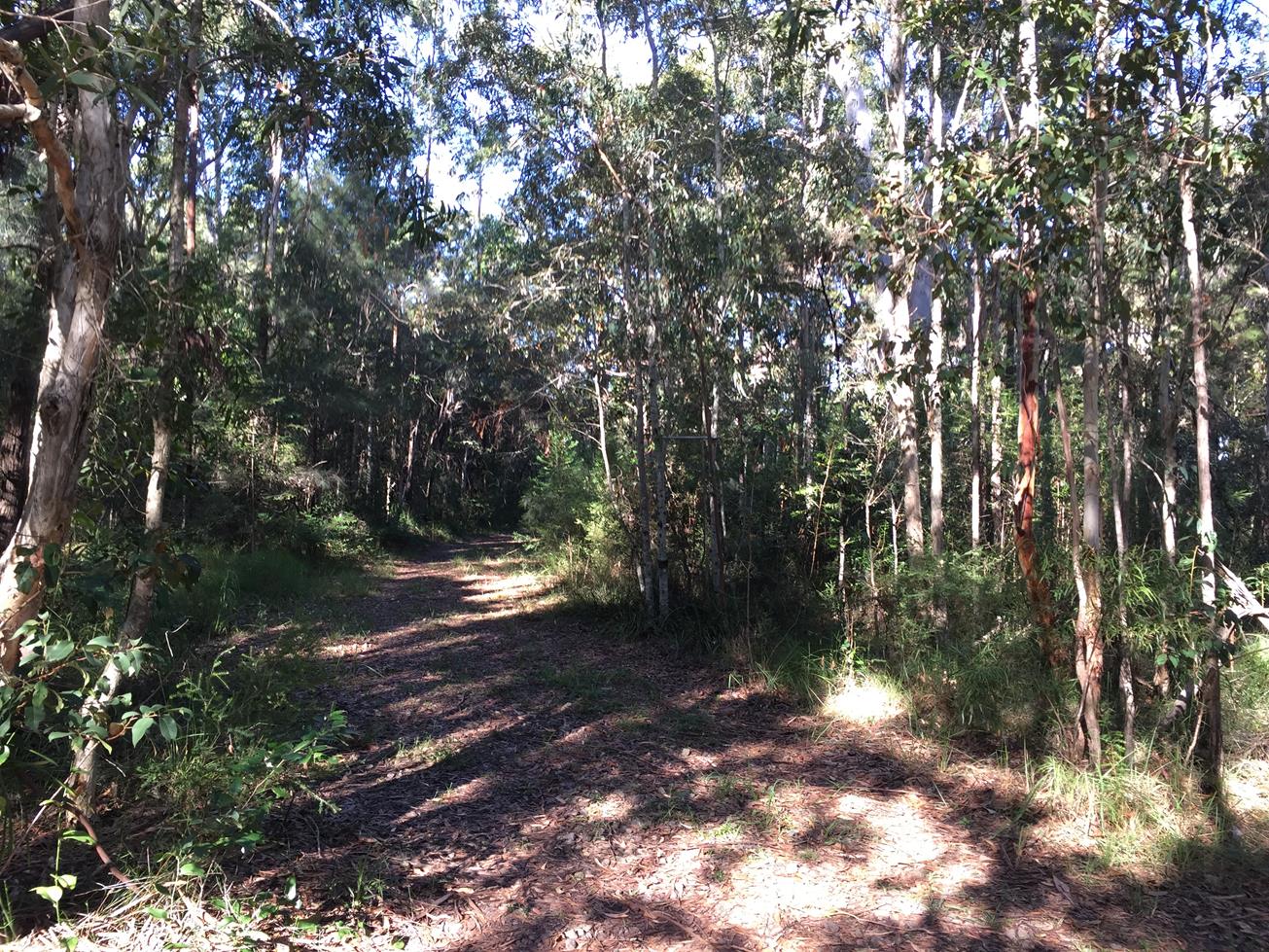 An image that represents the given trail