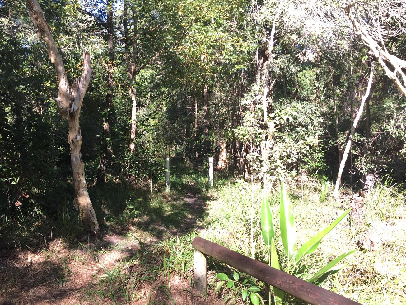 Trail Image for Tewantin Sports Grounds Circuit