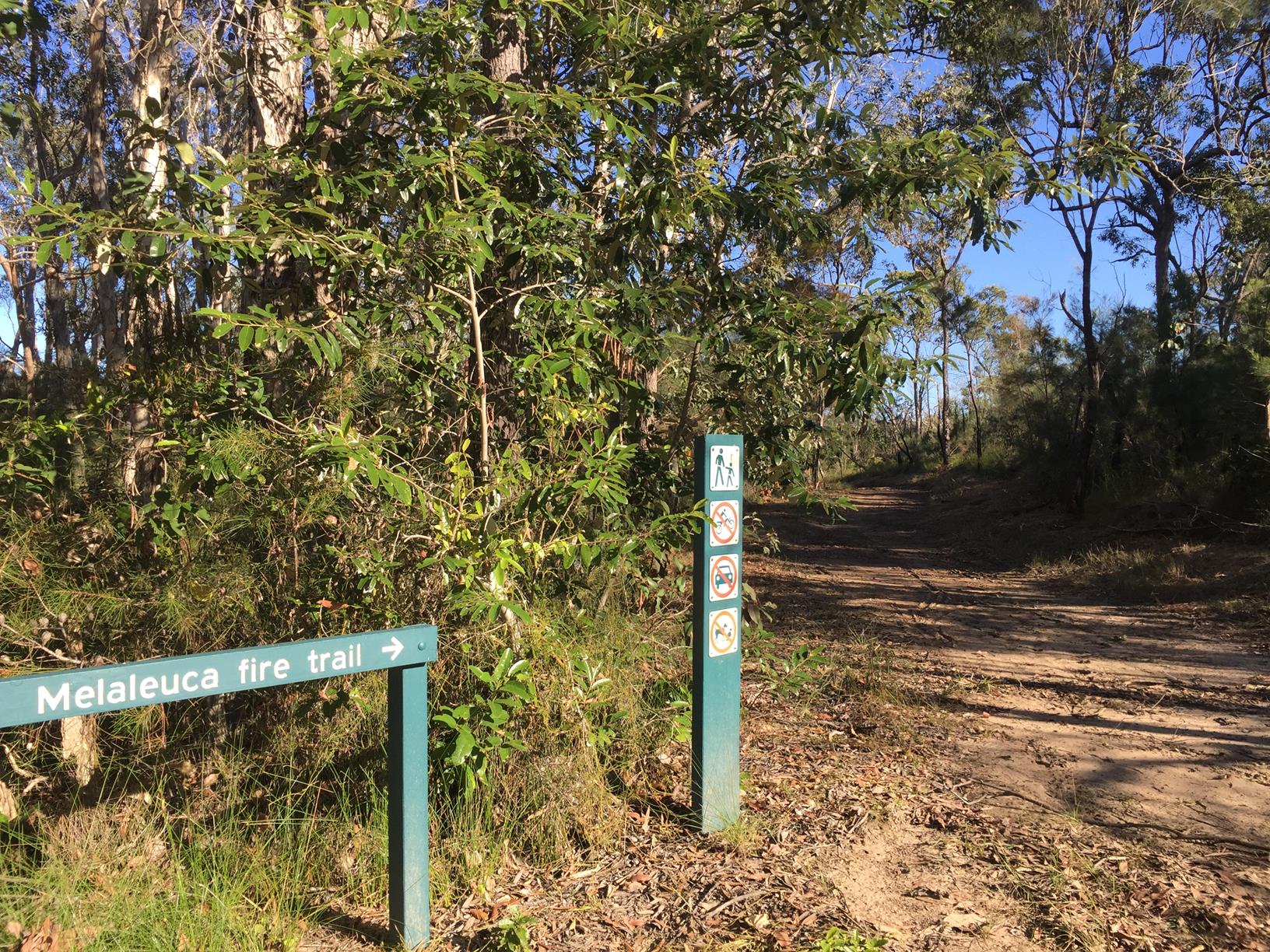 Trail Image for Mooloolah River National Park: Mooloolah River Section