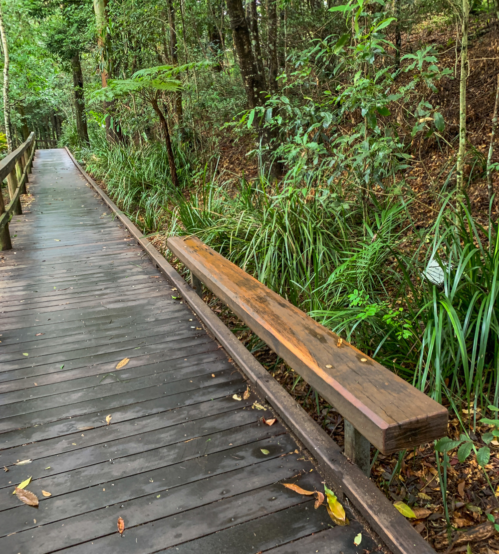 Trail Image for Maleny Boardwalk: Platypus Walk