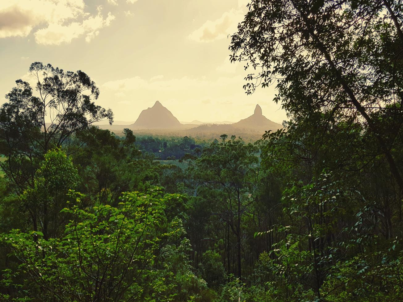 Trail Image for Glass House Mountains National Park: Tibrogargan Circuit