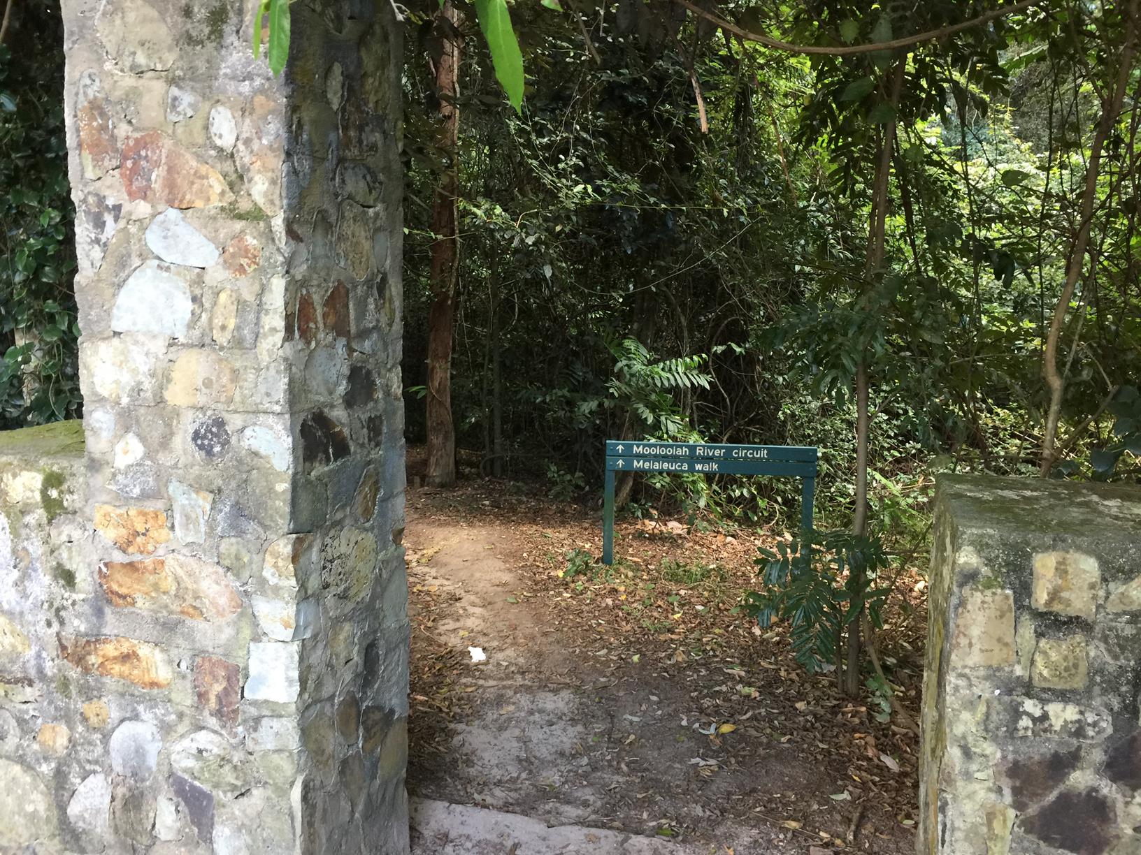 Trail Image for Mooloolah River National Park: Mooloolah River Circuit