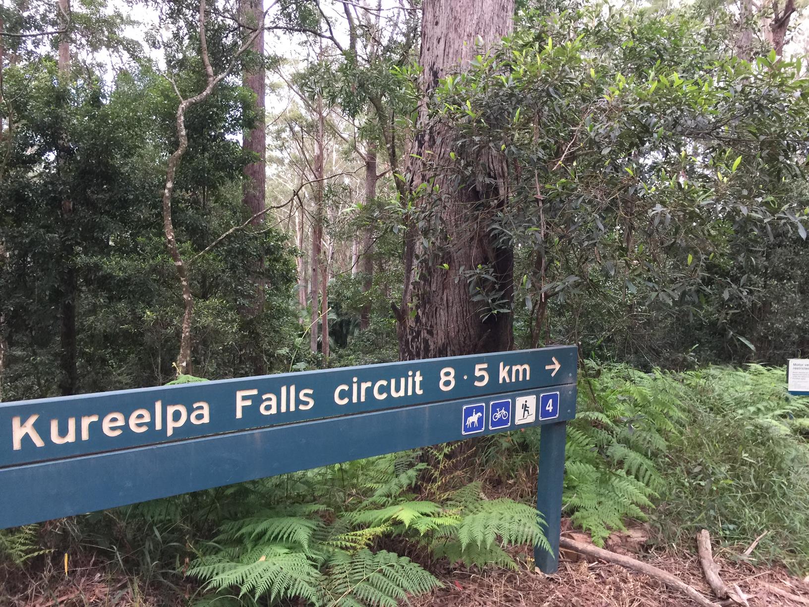 Trail Image for Mapleton National Park: Kureelpa Falls Circuit