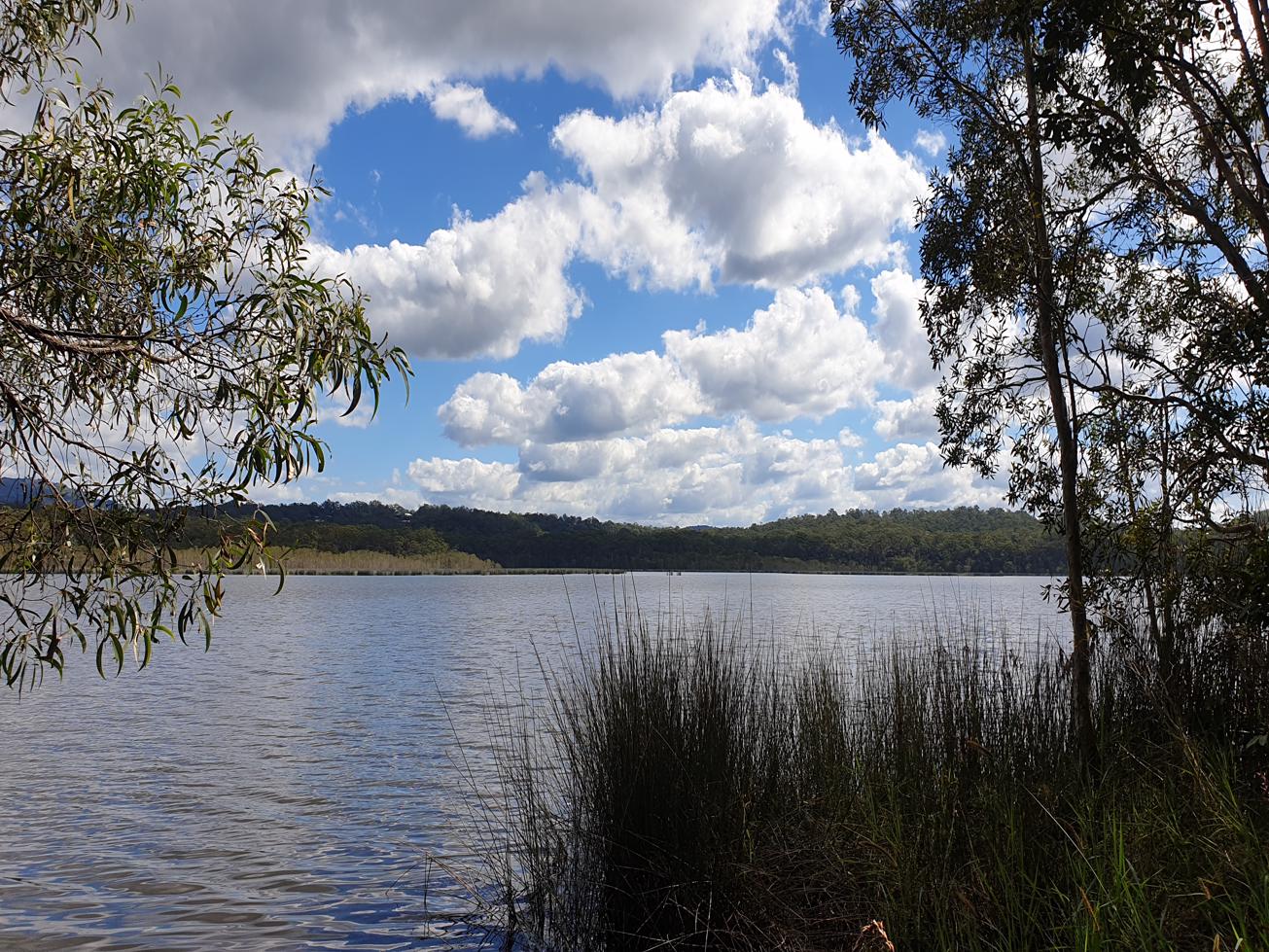 Trail Image for Ewen Maddock Dam: Ferny Forest MTB Loop
