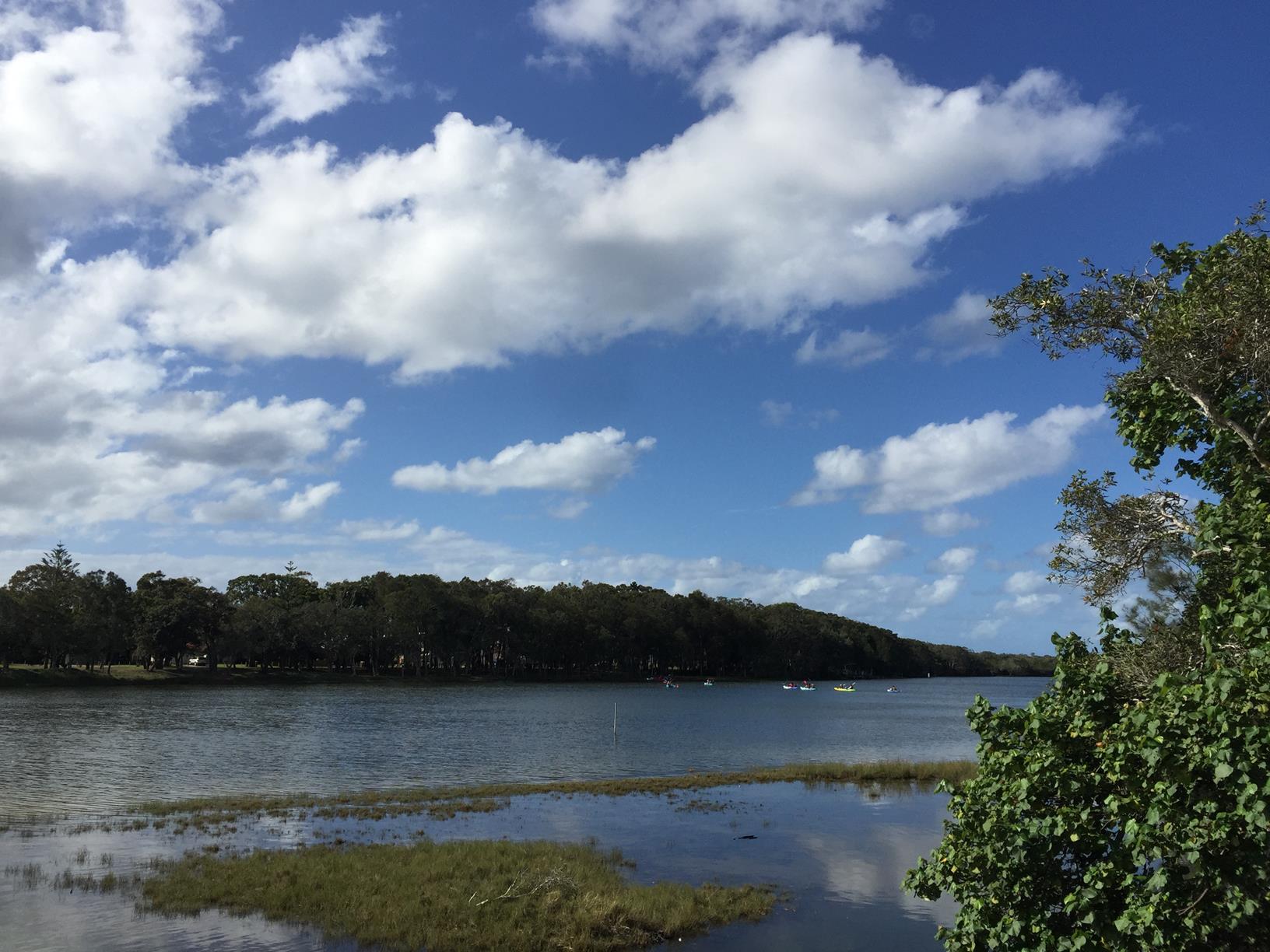 Trail Image for Currimundi Lake: ‘Loop the Lake’