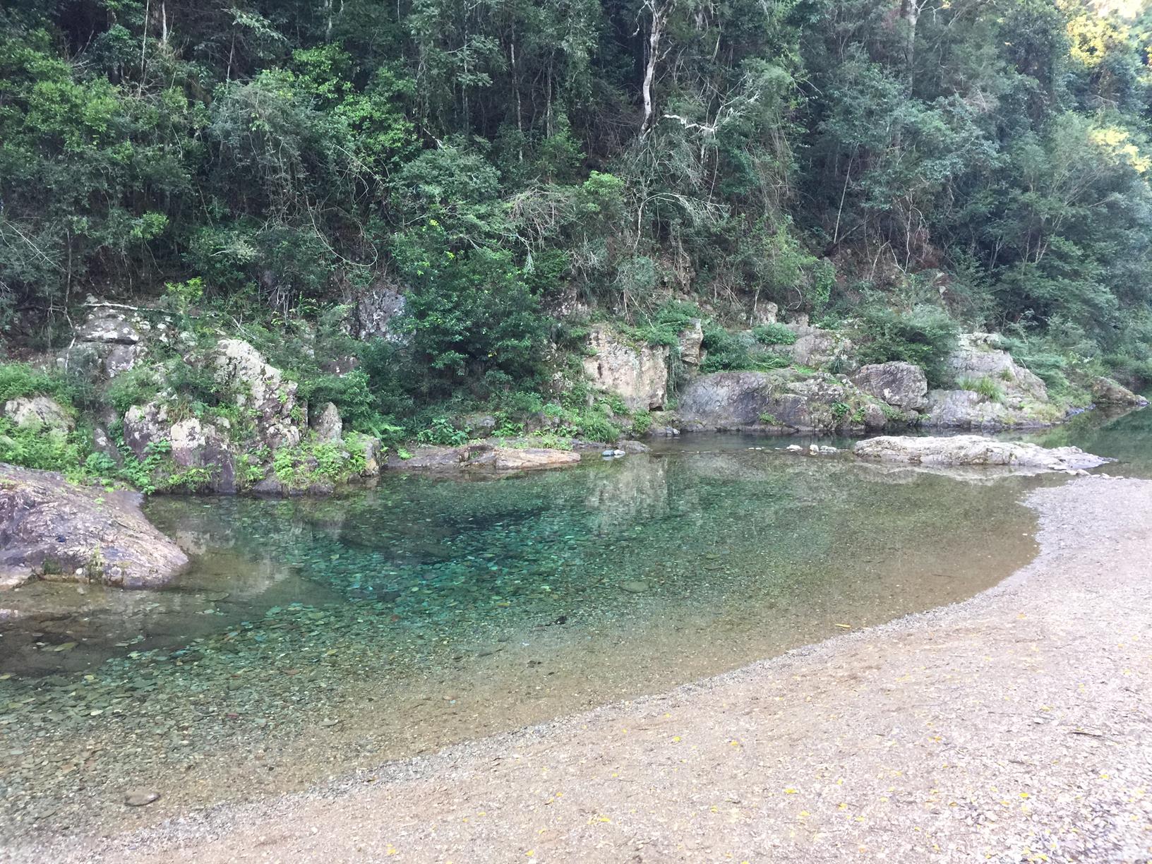 Trail Image for Conondale National Park: Booloumba Creek & Strangler Cairn