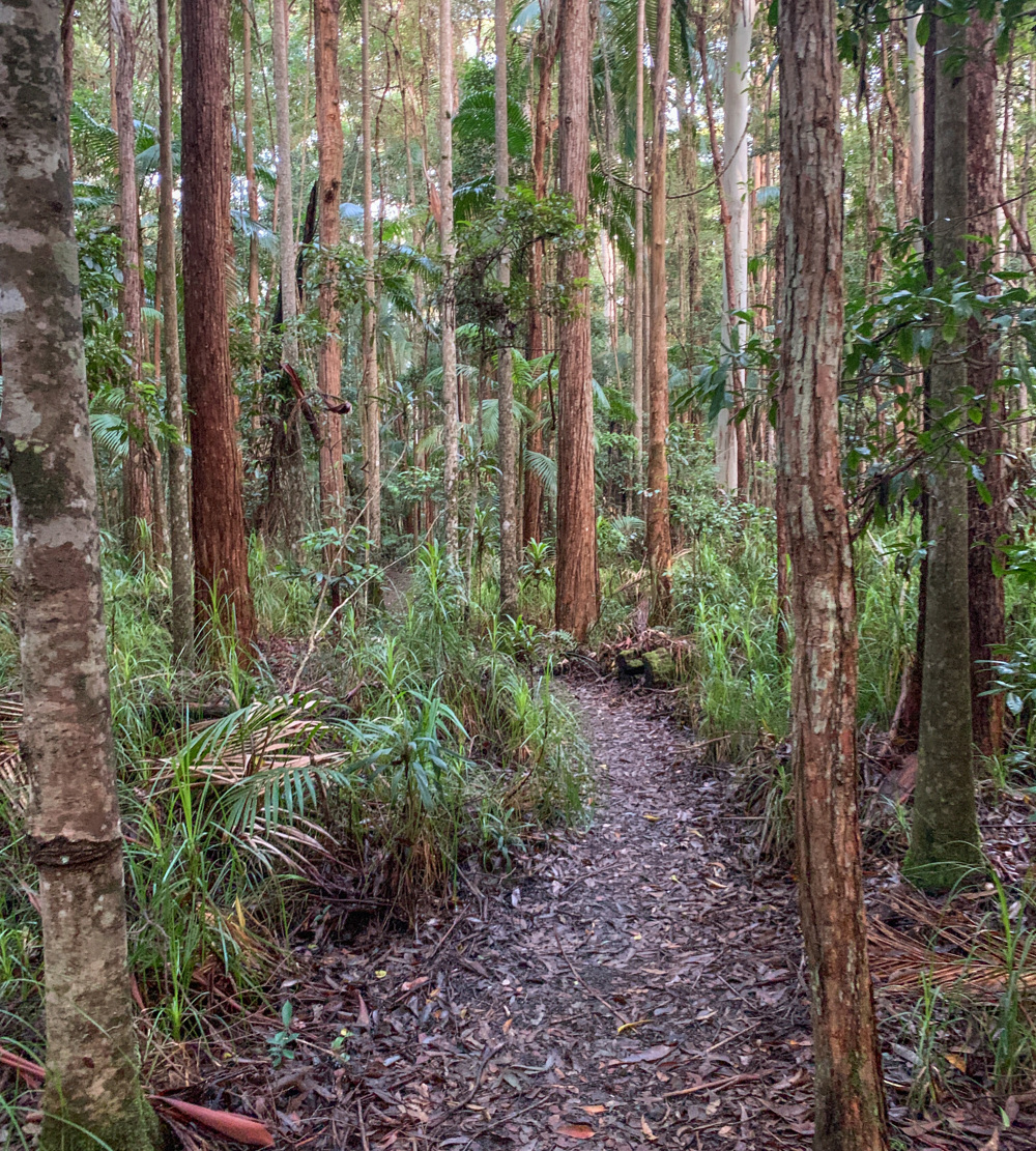 Trail Image for Mapleton National Park: Linda Garrett Circuit
