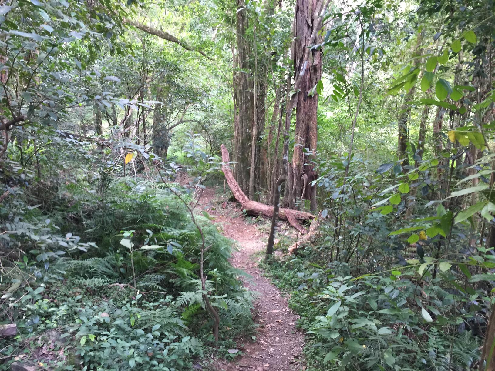 Trail Image