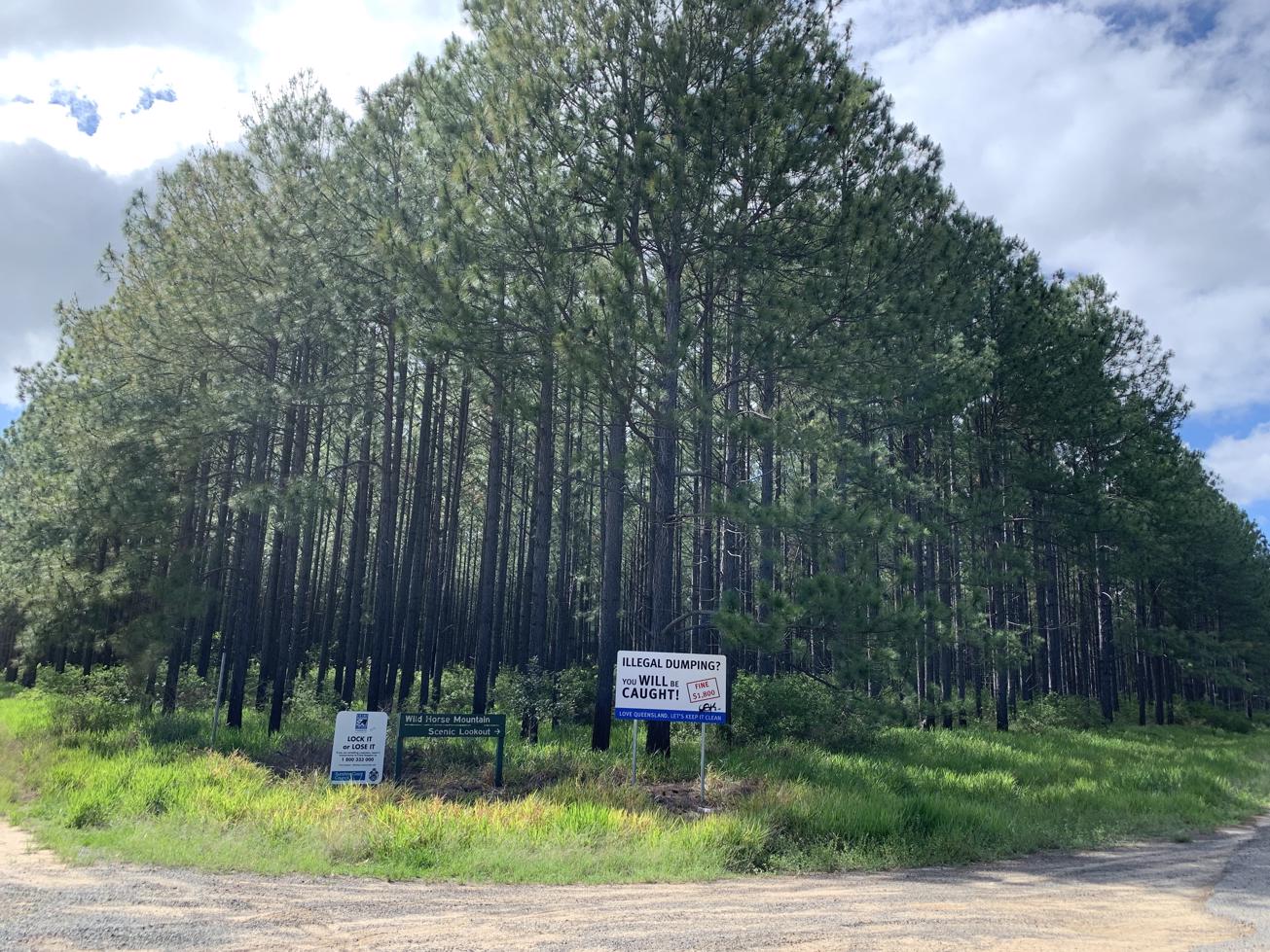 Trail Image for Wild Horse Mountain Lookout