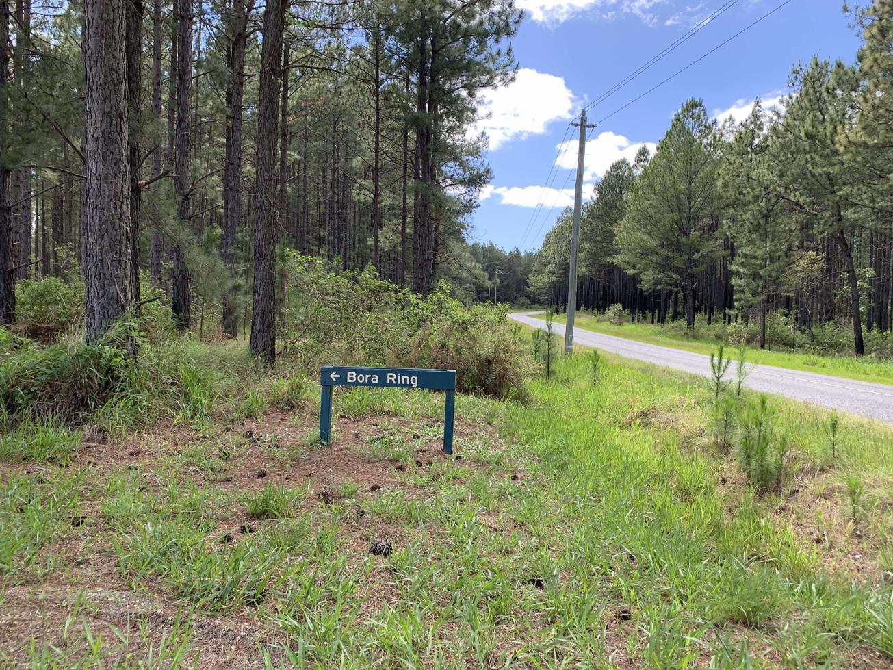 Trail Image for Beerwah State Forest: Bora Ring