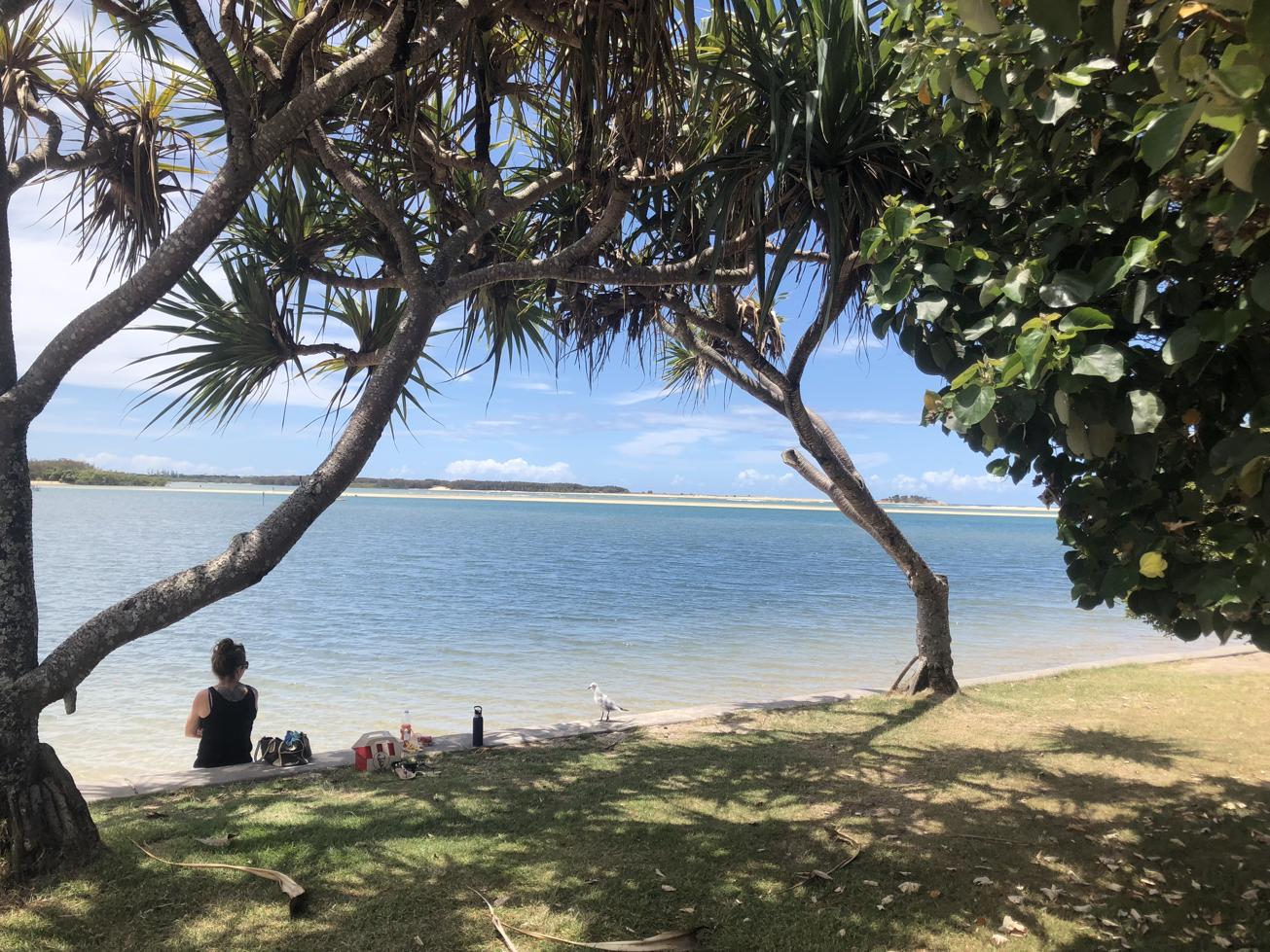 Trail Image for Coastal Pathway: Maroochydore to Alex Surf Club