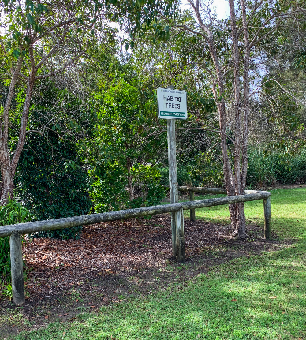Trail Image for Currimundi South Arm Loop