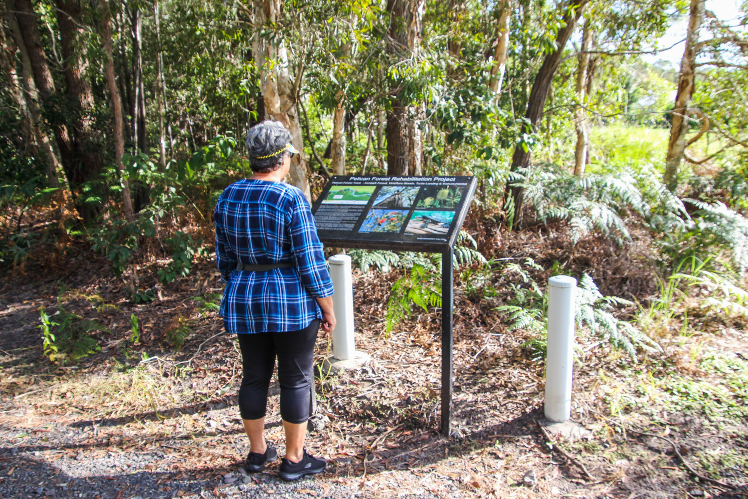 Trail Image for Lamerough Creekside Walk