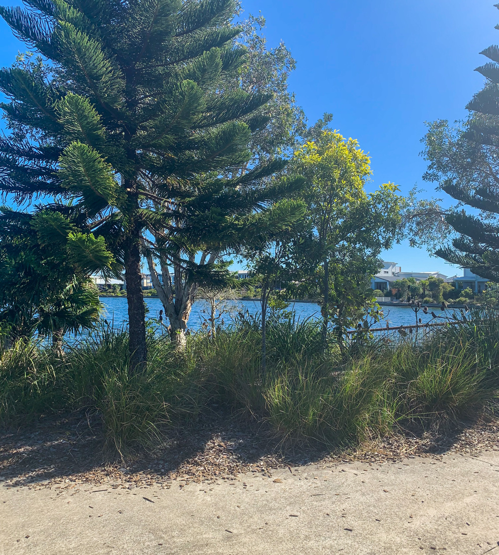 Trail Image for Brightwater Sports Precinct