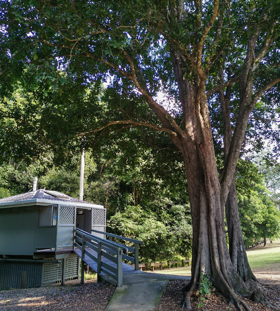 Trail Image for Pioneer Park Explore